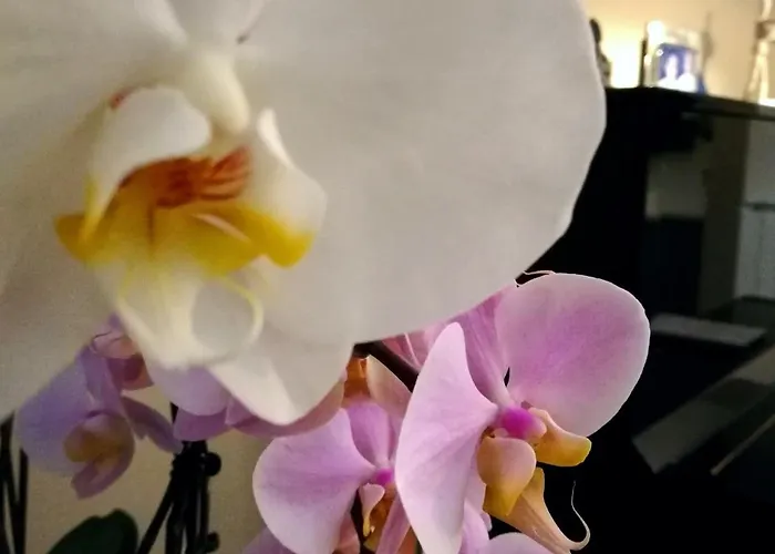 Sorahnia - Design House Bed & Breakfast Agrigento