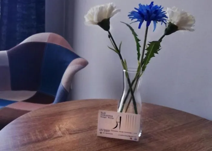 Sorahnia - Design House